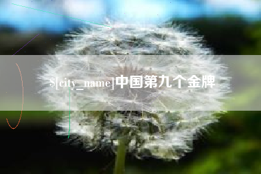 海西中国第九个金牌