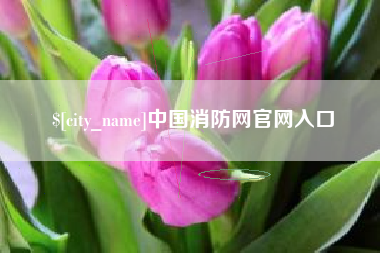 海西中国消防网官网入口