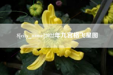 海西2022年九宫格飞星图