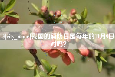 海西我国的消防日是每年的11月9日对吗？