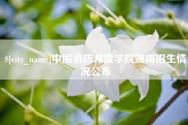 海西中国消防救援学院湖南招生情况公布