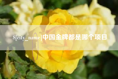 海西中国金牌都是哪个项目