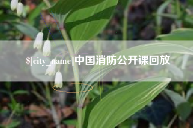 海西中国消防公开课回放