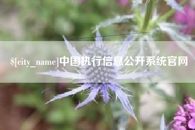海西中国执行信息公开系统官网