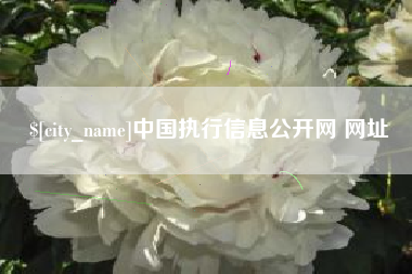 海西中国执行信息公开网 网址