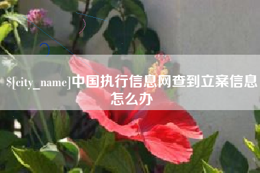 海西中国执行信息网查到立案信息怎么办