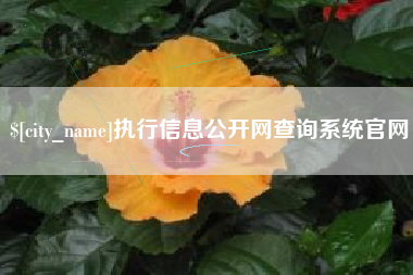 海西执行信息公开网查询系统官网