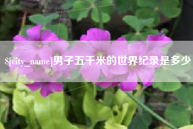 海西男子五千米的世界纪录是多少
