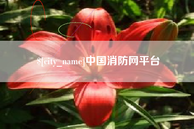 海西中国消防网平台