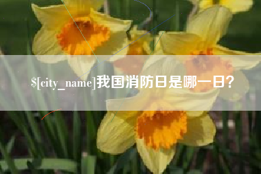 海西我国消防日是哪一日？