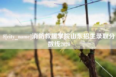 海西消防救援学院山东招生录取分数线2020