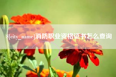 海西消防职业资格证书怎么查询