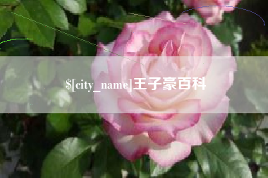 海西王子豪百科