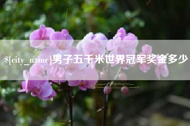 海西男子五千米世界冠军奖金多少