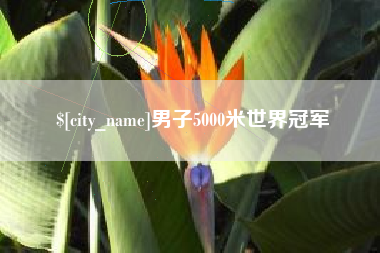 海西男子5000米世界冠军