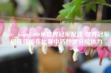 海西5000米世界冠军配速-世界冠军们往往能在比赛中巧妙地分配体力