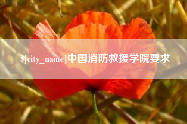 海西中国消防救援学院要求