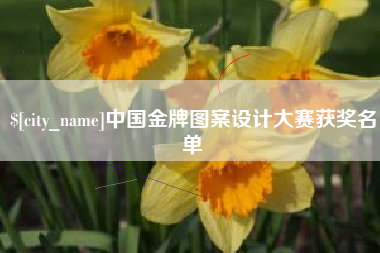 海西中国金牌图案设计大赛获奖名单
