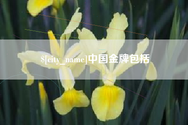 海西中国金牌包括