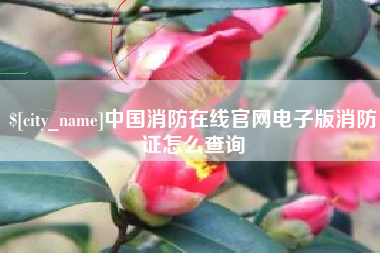 海西中国消防在线官网电子版消防证怎么查询