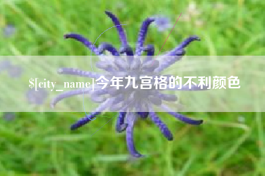 海西今年九宫格的不利颜色