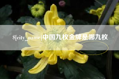 海西中国九枚金牌是哪九枚