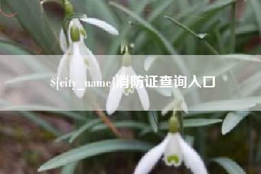 海西消防证查询入口