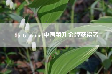 海西中国第九金牌获得者
