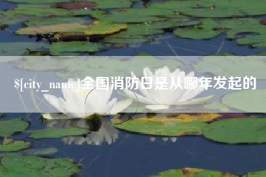 海西全国消防日是从哪年发起的