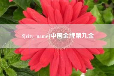 海西中国金牌第九金