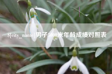 海西男子5000米年龄成绩对照表