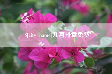 海西九宫排盘免费