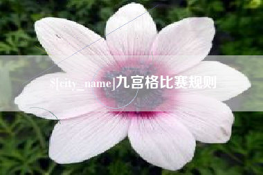 海西九宫格比赛规则