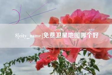 海西免费卫星地图哪个好