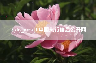 海西1.中国执行信息公开网