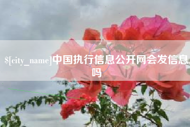 海西中国执行信息公开网会发信息吗