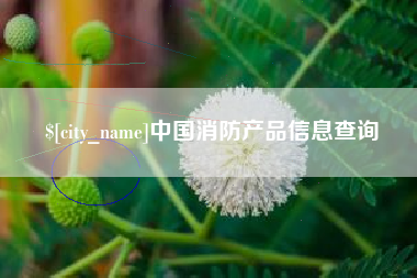 海西中国消防产品信息查询