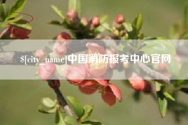 海西中国消防报考中心官网