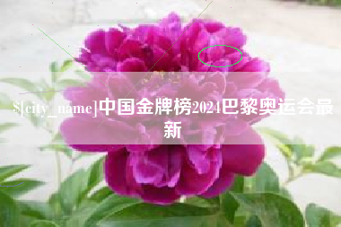 海西中国金牌榜2024巴黎奥运会最新