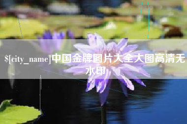 海西中国金牌图片大全大图高清无水印