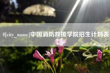 海西中国消防救援学院招生计划表