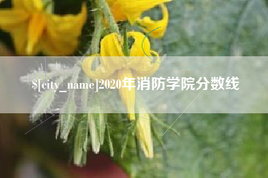 海西2020年消防学院分数线
