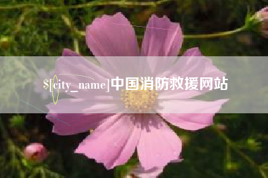 海西中国消防救援网站