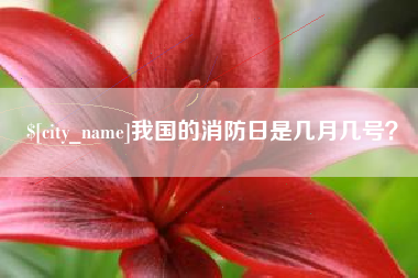 海西我国的消防日是几月几号？