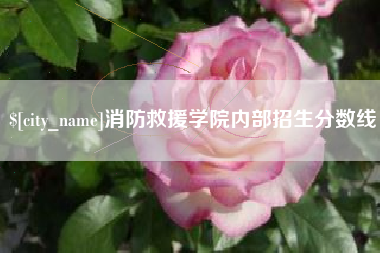 海西消防救援学院内部招生分数线