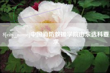 海西中国消防救援学院山东选科要求
