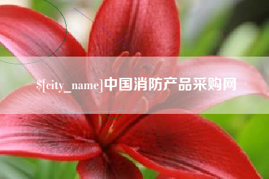 海西中国消防产品采购网
