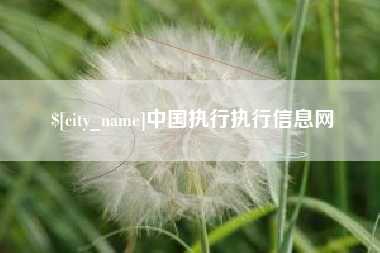 海西中国执行执行信息网