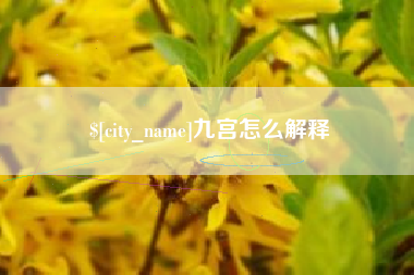 海西九宫怎么解释