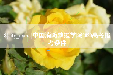 海西中国消防救援学院2020高考报考条件